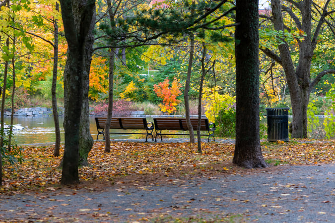 Two wooden park benches