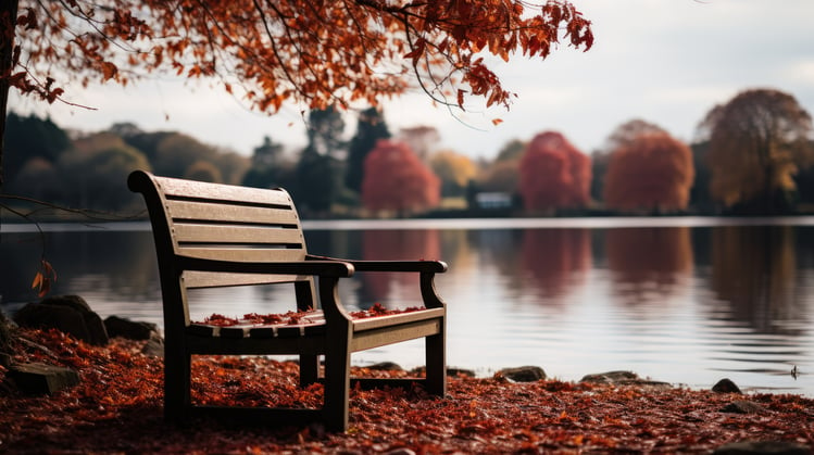 autumn in the park bench