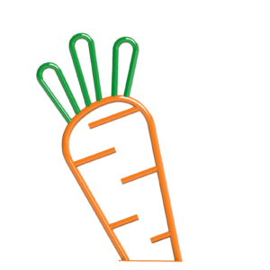 Carrot-One-Option-300x300